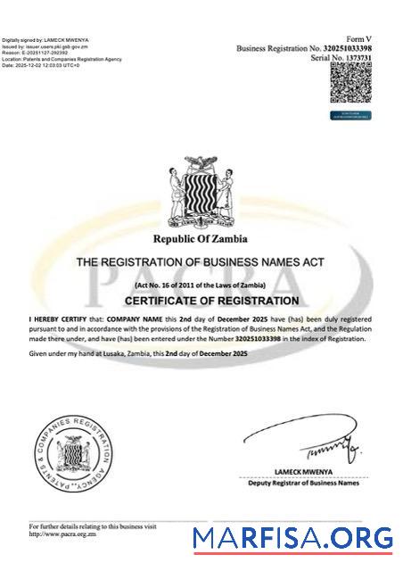 Realistic Zambia certificate of business name registration Word and PDF template